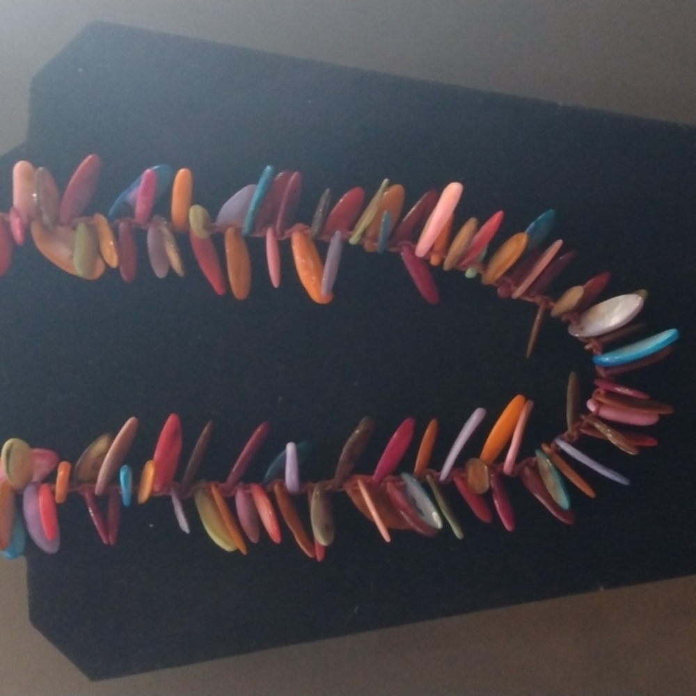 Colorful shell necklace